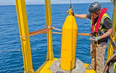 HarshLab Hosts Successful K66 Ditrel Connector Demonstration for Floating Offshore Wind