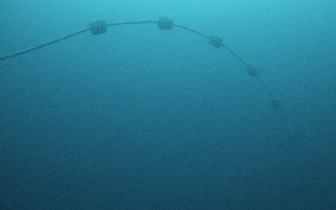 HarshLab Connected to BiMEP grid: A New Milestone for Offshore Testing and Innovation