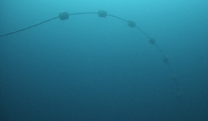 HarshLab Connected to BiMEP grid: A New Milestone for Offshore Testing and Innovation
