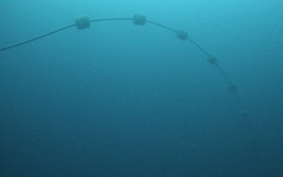 HarshLab Connected to BiMEP grid: A New Milestone for Offshore Testing and Innovation