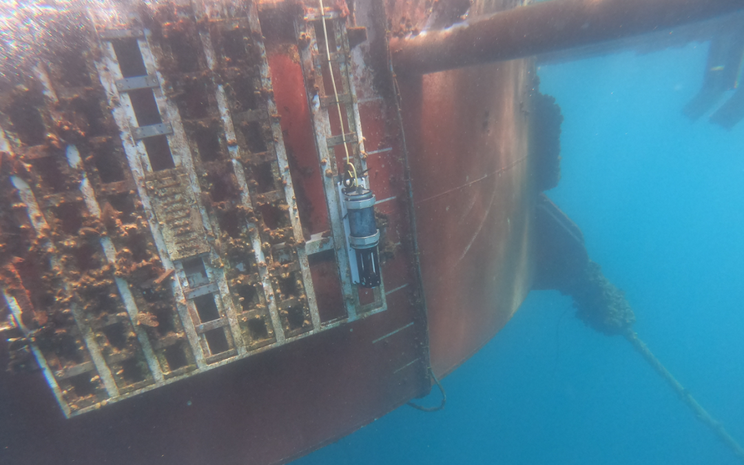 RISEnergy Open Call Offers Access to HarshLab for Offshore Renewable Energy Testing